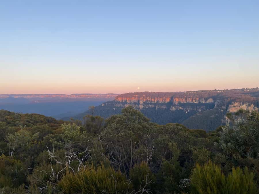 #1 Blue Mountains Tour Scenic World Waterfalls Wildlife Park - Featherdale Wildlife Park: the animal time you actually came for