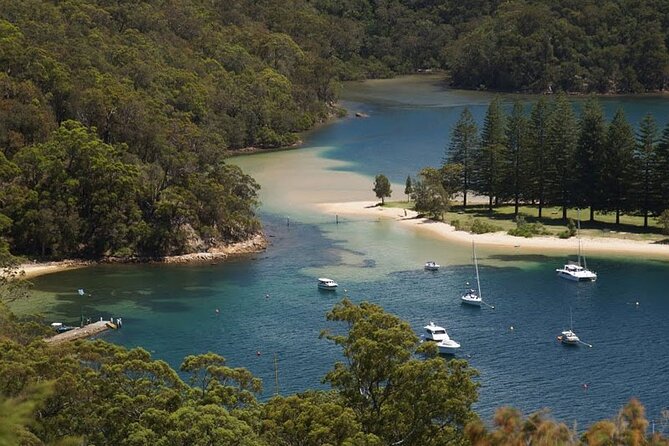 3-Hour Private Skippered Sailing Yacht Charter in Palm Beach - Portuguese Beach: a swim stop built for clean water and no crowd energy