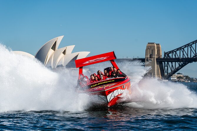 45 Minute Extreme Adrenaline Rush Ride - Price and value: what $85.35 really buys you