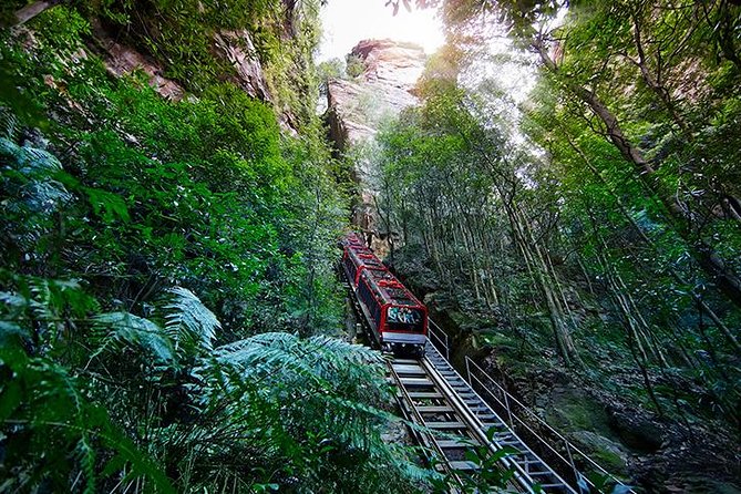 All Inclusive Blue Mountain,Scenic World,Lunch,Koalas,ferry - Guided Blue Mountains Commentary: More Stops, More Context