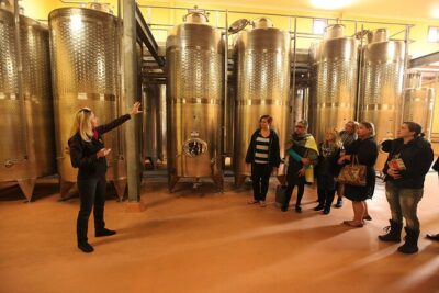 Award-Winning Hunter Valley Wine & Cheese Tour from Sydney - The cheese factory stop: pairing you can understand fast