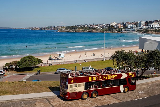 Big Bus Sydney and Bondi Hop-on Hop-off Tour - The real logistics: 24 vs 48 hours, and when buses run