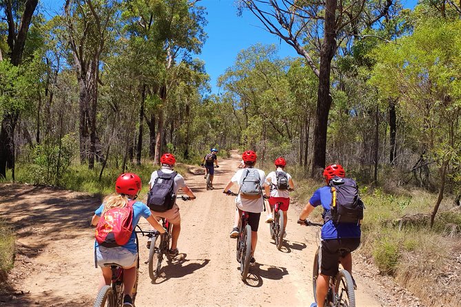 Blue Labyrinth PRIVATE Tour: Sydney Blue Mountains by E-Bike - Electric Mountain Bikes: More Mileage, Less Grind