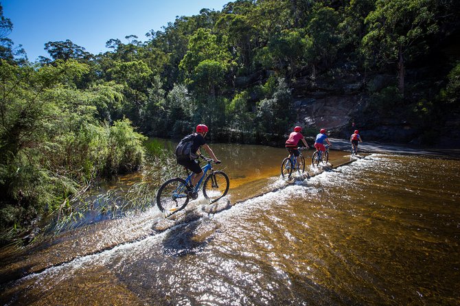 Blue Labyrinth PRIVATE Tour: Sydney Blue Mountains by E-Bike - Practical Tips for a Smooth Ride on Dirt and Single Track