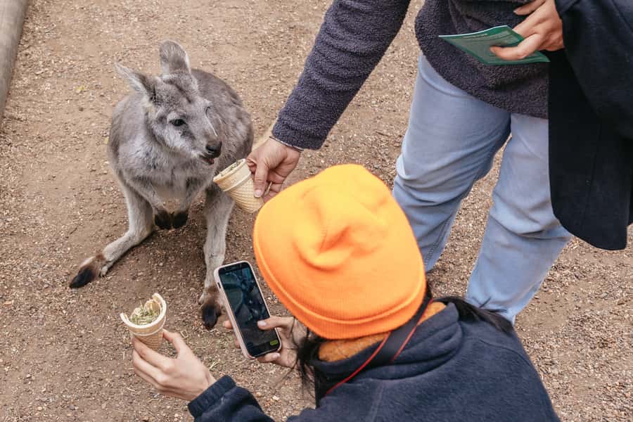 Blue Mountain Small Group Scenic World, Wildlife, Waterfall - Echo Point and the Three Sisters: Panoramas With Story Context