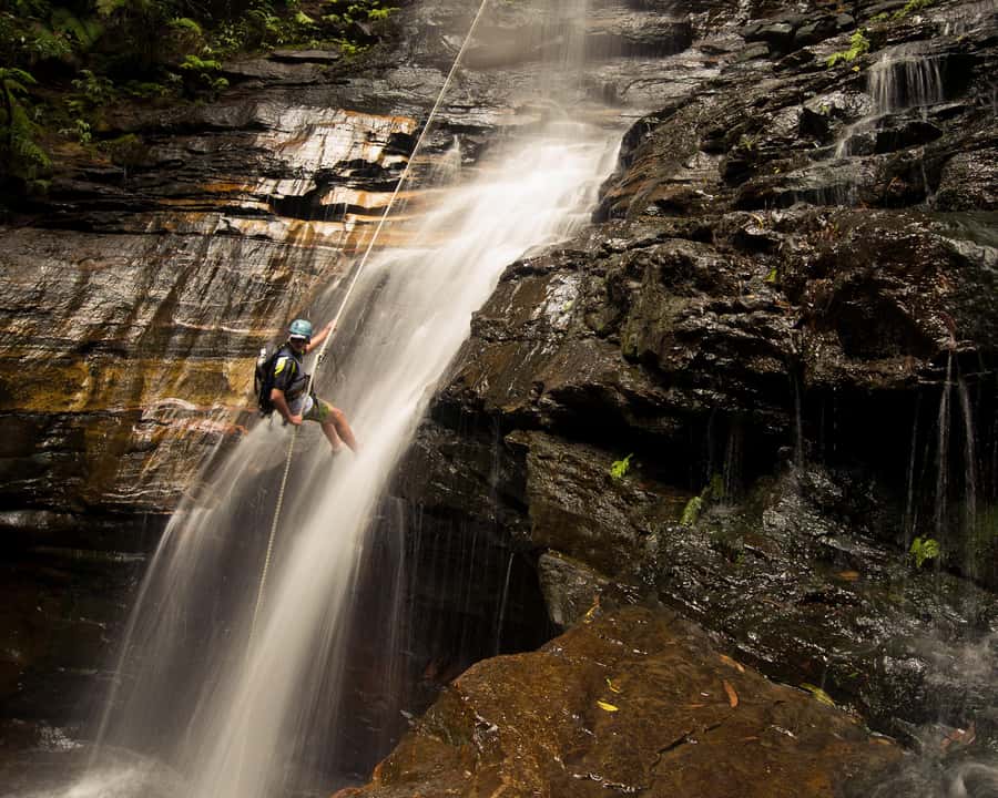 Blue Mountains: Abseiling and Canyoning Experience - Key things you’ll remember from this Blue Mountains canyon day