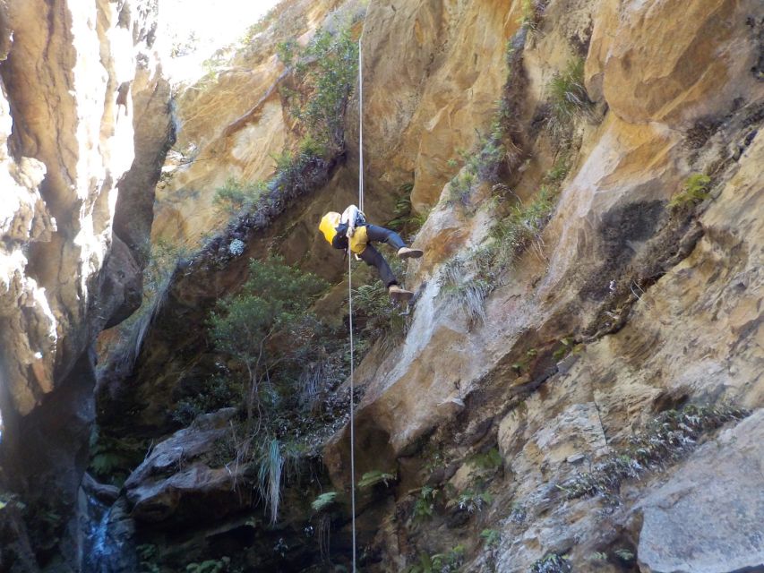 Blue Mountains: Abseiling and Canyoning Experience - The 30-metre waterfall abseil: the finale that actually lands