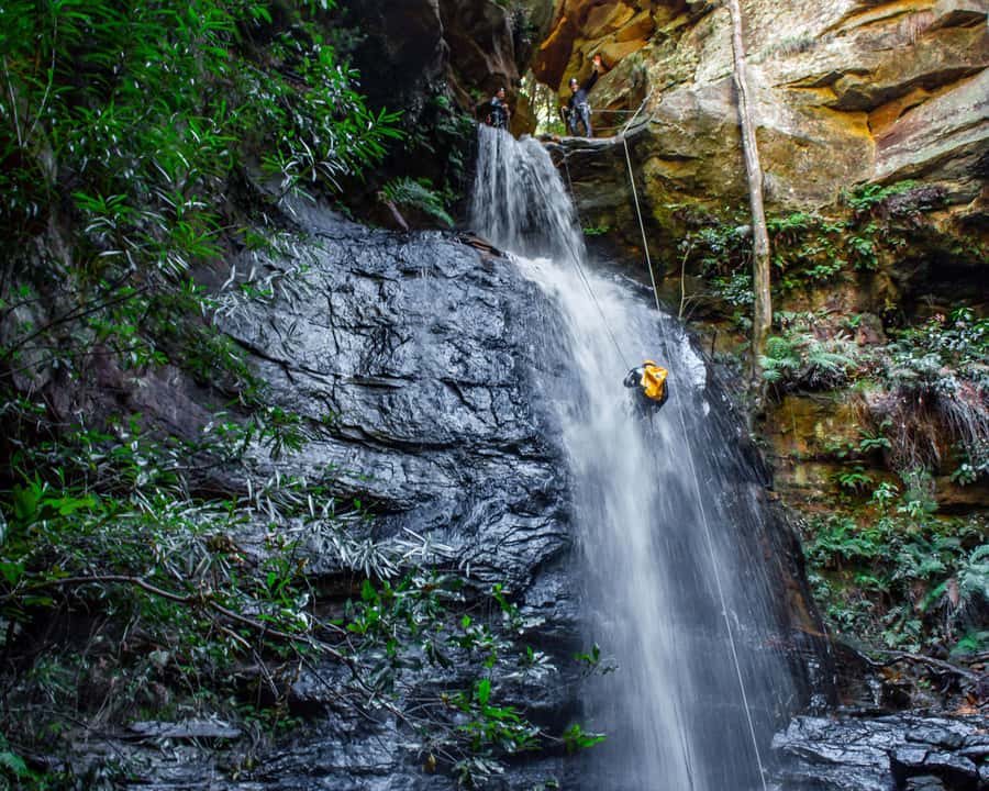 Blue Mountains: Abseiling and Canyoning Experience - What’s included (and what you should plan around)