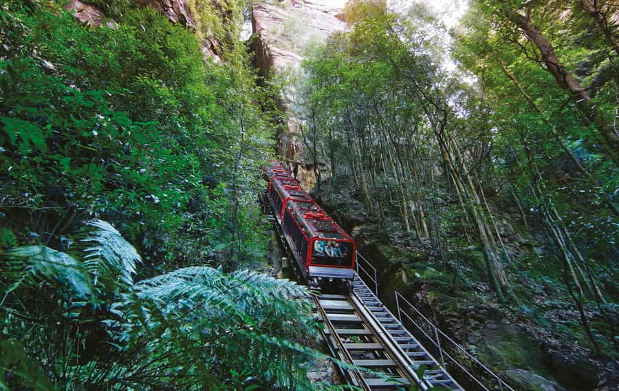 Blue Mountains Adventure: Scenic World, Zoo & Koala Photo - Glenbrook break: coffee, stretch, and reset
