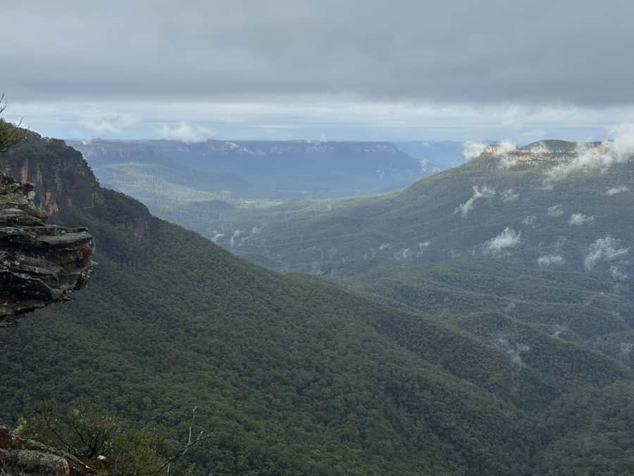 Blue Mountains Adventure: Scenic World, Zoo & Koala Photo - Leura lunch time: stretch your legs and choose your own meal