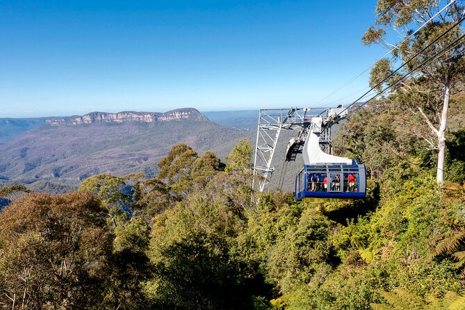 Blue Mountains Adventure w Scenic World, Zoo, Koala Photo & Ferry - Scenic World rides: Skyway, Scenic Railway, Cableway, and a rainforest walk