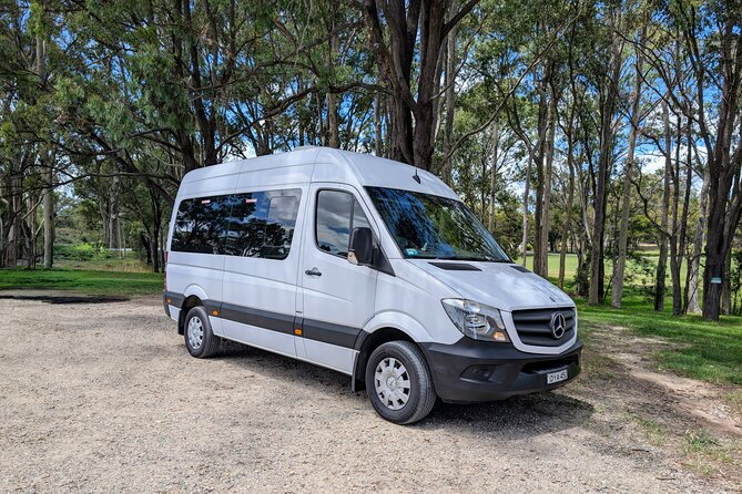 Blue Mountains Day Tour -Scenic World, Koalas & Roos (15 ppl LUX) - A 5,000-Year-Old Aboriginal Rock Engraving Stop