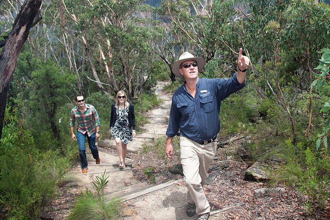Blue Mountains Day Tour With Bushwalks, Waterfalls & Featherdale - From Sydney Pickup to Blue Mountains Views Without the Stress