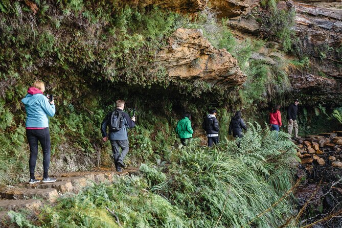 Blue Mountains Day Tour With Bushwalks, Waterfalls & Featherdale - Katoomba or Leura Lunch Break: A Little Town Time That Helps the Day Breathe
