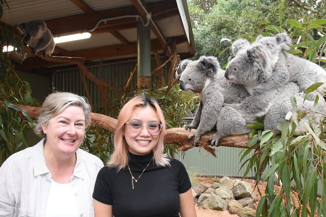 Blue Mountains Day Tour with Wildlife and Scenic World Entry - Scenic World Unlimited Pass: Skyway, Railway, Cableway, and the rainforest walkway