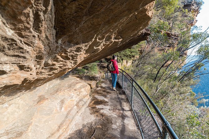 Blue Mountains Deluxe Small-Group Eco Wildlife Tour from Sydney - Mt. Tomah Botanic Gardens: your calm ending after the canyon rush