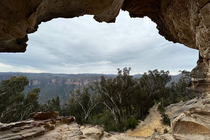 Blue Mountains Full Day Guided Tour - Wildlife chances: kangaroos, wallabies, and even emu track carvings