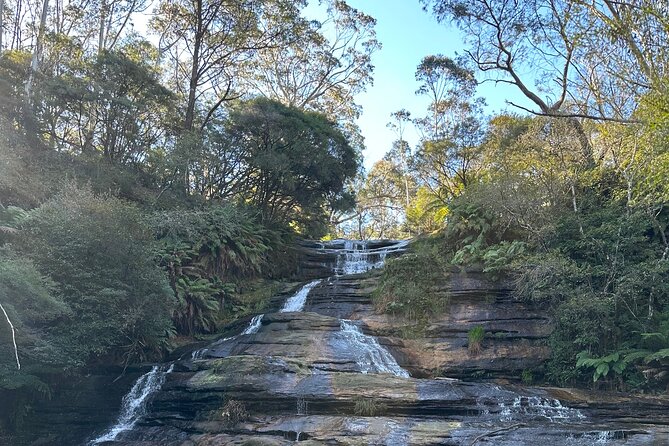 Blue Mountains Full Day Guided Tour - Rainforest walks and short hikes: choose your pace, not your fate