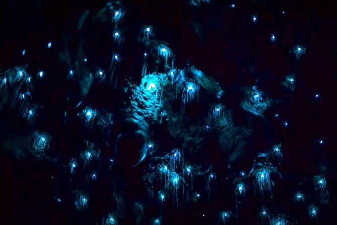 Blue Mountains Hiking Glow worms Cave Wildlife Spotlighting Night Adventure - Arriving at the Cave Overhang: Waterfall + Glow Worm Lighting