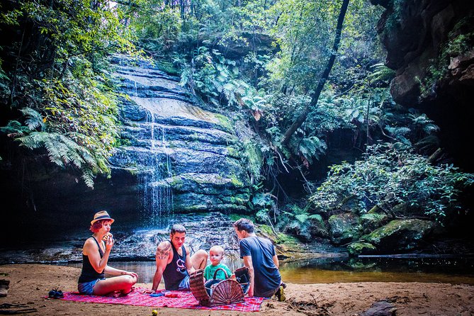 Blue Mountains Hop On Hop Off Tour - Service and comfort: air-conditioning, drivers, and that guidebook you’ll actually use