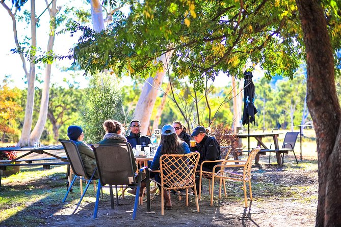 Blue Mountains Private Tour from Sydney - Scenic World: optional rides and a rainforest walk