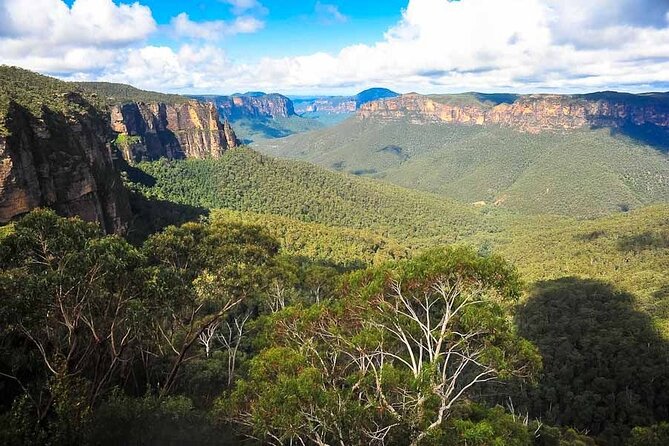 Blue Mountains Private Tour from Sydney - Pulpit Rock (or Govetts Leap): dramatic Grose Valley views and optional short walks