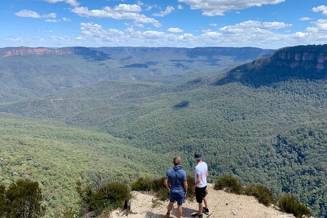 Blue Mountains Private Tour From Sydney, & Featherdale Aussie Animal Park Option - Key highlights you’ll actually feel on the day