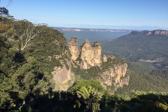 Blue Mountains Private Tour From Sydney, & Featherdale Aussie Animal Park Option - Price and what $340.69 per person really buys