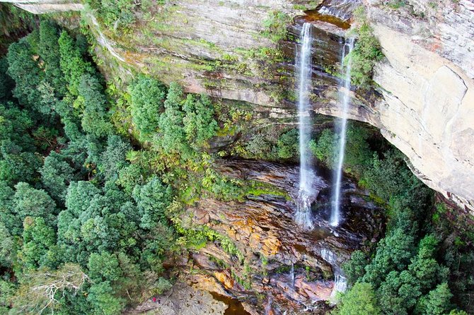 Blue Mountains Private Tour including Wildlife Park - Weather Reality: Dress for Fog, Rain, and Quick Changes