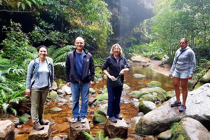 Blue Mountains Private Tour including Wildlife Park - Featherdale Wildlife Park: The Close-Up Australian Animal Stop (Included)