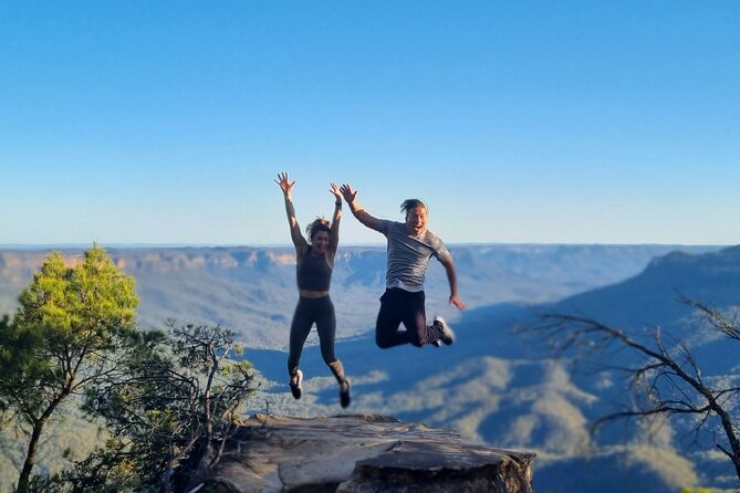 Blue Mountains Private Tour | Koala, Kangaroo, & Waterfalls Day - Price and logistics: what you’re really paying for at about $347.86 per person