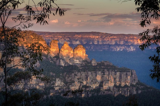 Blue Mountains Private Tour with Kangaroo and Koala Experience - Key things I’d plan around