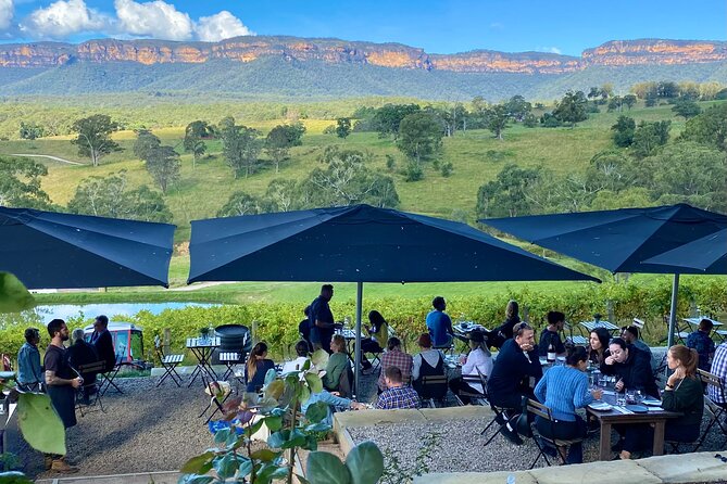Blue Mountains Private Tour with Kangaroo and Koala Experience - Extras That Cost More: Scenic World and the Optional River Cruise