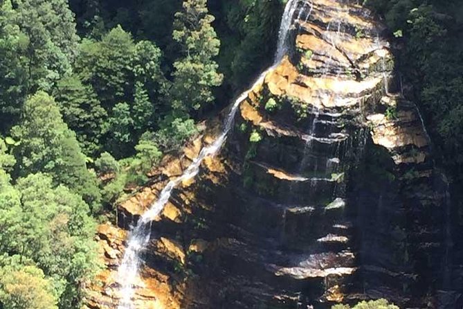 Blue Mountains Private Tour with Kangaroo and Koala Experience - When Weather Turns: How This Tour Stays Enjoyable