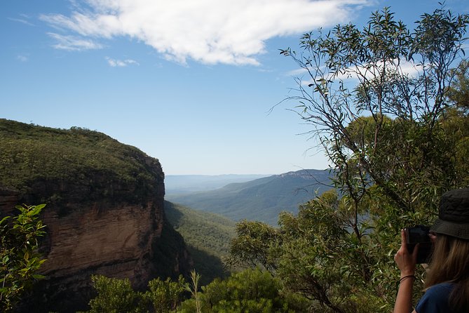 Blue Mountains Small-Group Insider Tour from Sydney - Entering the Blue Mountains with a plan that saves your energy