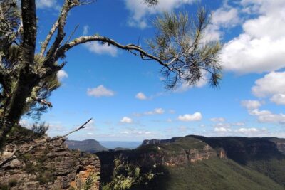 Blue Mountains Small-Group Insider Tour from Sydney - Featherdale Wildlife Park: early access to Australian animals