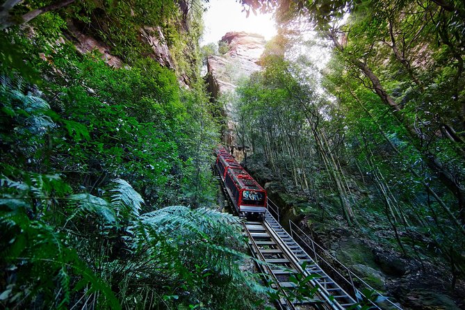 Blue Mountains Small-Group Tour from Sydney with Scenic World,Sydney Zoo & Ferry - Why this Blue Mountains + Zoo + ferry loop works