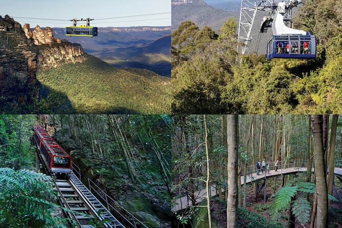 Blue Mountains Small-Group Tour from Sydney with Scenic World,Sydney Zoo & Ferry - Sydney Zoo wildlife time with included entry