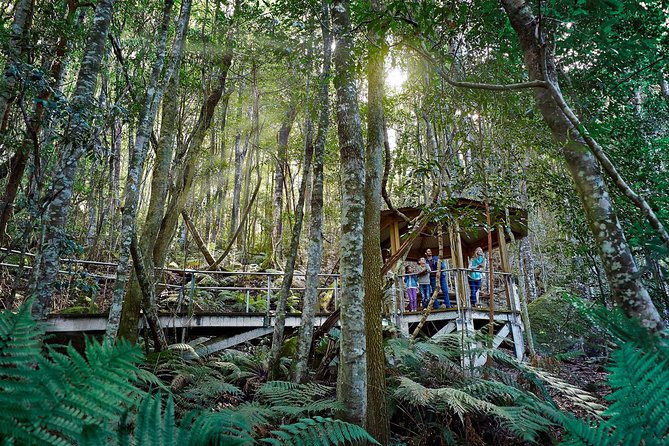 Blue Mountains Small-Group Tour from Sydney with Scenic World,Sydney Zoo & Ferry - Circular Quay by ferry: a calm finish after hours on the road