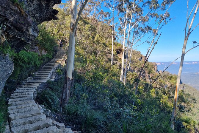 Blue Mountains Small Group Tour with Lunch, Zoo and Scenic World - Josophan’s Fine Chocolate: the 15-minute sugar reset