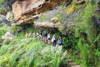 Blue Mountains Small Group Tour with Waterfall Walk & Fresh Lunch - The 7:30am start and central pickup: easy to join, quick to move