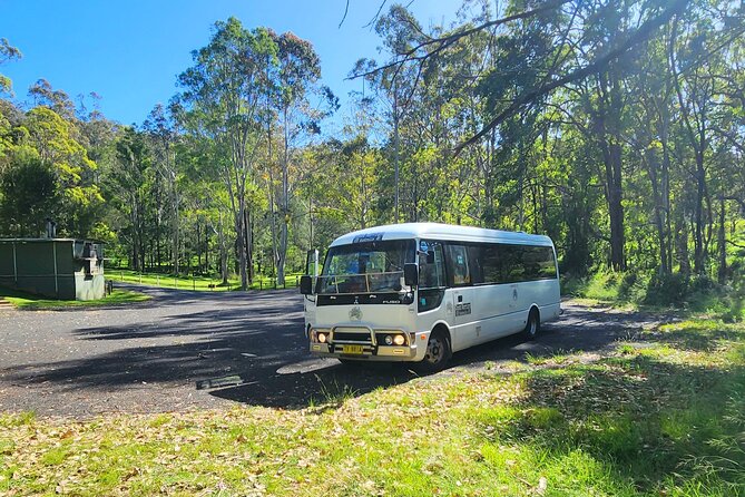 Blue Mountains Small Group Tour with Waterfall Walk & Fresh Lunch - Echo Point, the Three Sisters, and Jamison Valley photo time