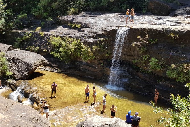 Blue Mountains Small Group Tour with Waterfall Walk & Fresh Lunch - How fit do you need to be for the waterfall walk?