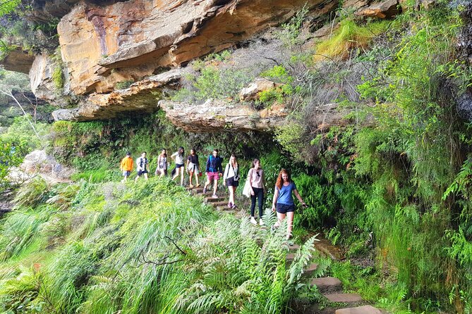 Blue Mountains Small Group Tour with Waterfall Walk & Fresh Lunch - The 7:30am start and central pickup: easy to join, quick to move