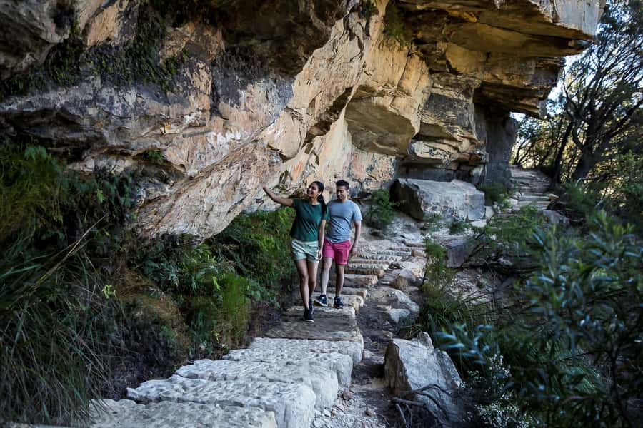 Blue Mountains Sunset Waterfalls Wildlife Tour From Sydney - Price and value around $102: what’s covered, what’s not