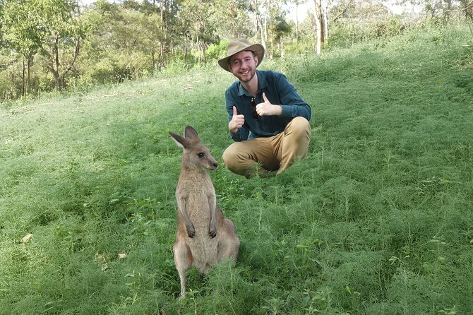 Blue Mountains Tour from Sydney with an Aboriginal Experience - Featherdale Wildlife Park: up-close Australian animals without the guesswork