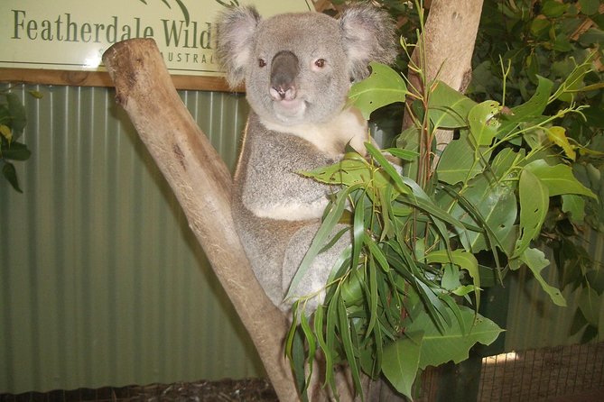 Blue Mountains Tour PRIVATE with Wildlife Park and River Cruise - What this private Blue Mountains day really includes (and what you’ll pay for)
