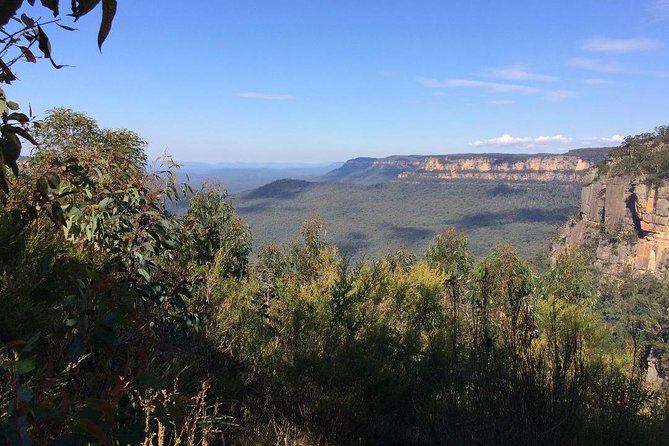 Blue Mountains Tour PRIVATE with Wildlife Park and River Cruise - World Heritage Blue Mountains sightseeing: more than one waterfall photo