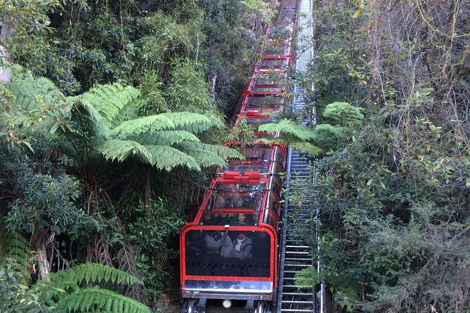 Blue Mountains Tour PRIVATE with Wildlife Park and River Cruise - Wildlife park choice: Sydney Zoo or Featherdale, plus koalas and kangaroos