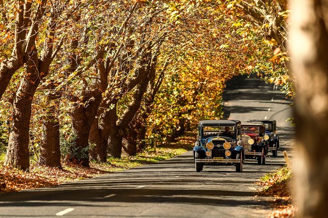 Blue Mountains Vintage Cadillac Tour with Local Guide - Your Driver and Guide: The Difference Between Seeing and Understanding